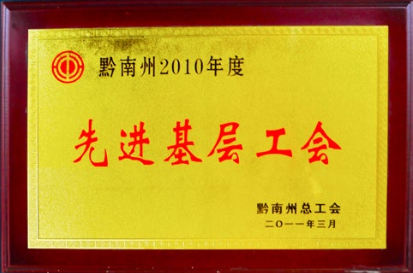 黔南州2010年度先进基层工会
