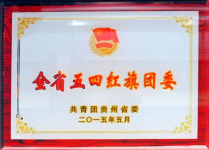 全省五四红旗团委