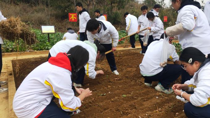 都匀一中劳动教研组：“崇实”劳动，五育共融